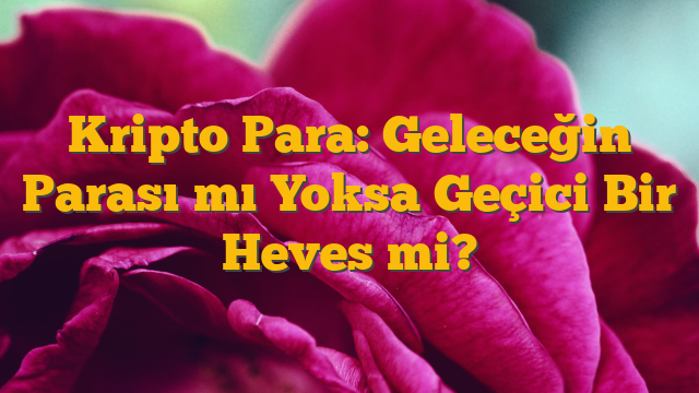 Kripto Para: Geleceğin Parası mı Yoksa Geçici Bir Heves mi?