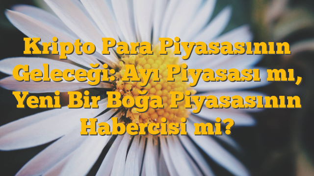 Kripto Para Piyasasının Geleceği: Ayı Piyasası mı, Yeni Bir Boğa Piyasasının Habercisi mi?