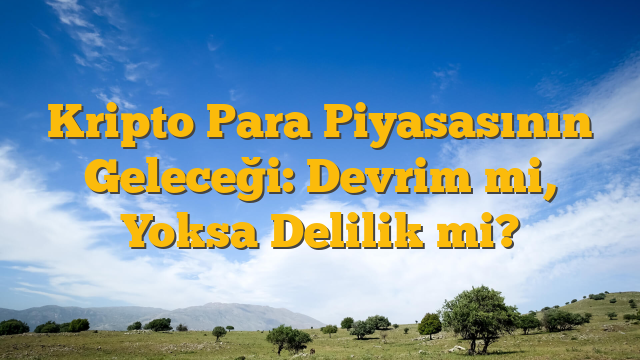 Kripto Para Piyasasının Geleceği: Devrim mi, Yoksa Delilik mi?