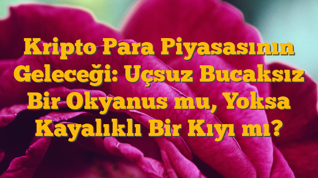 Kripto Para Piyasasının Geleceği: Uçsuz Bucaksız Bir Okyanus mu, Yoksa Kayalıklı Bir Kıyı mı?