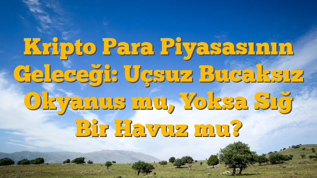 Kripto Para Piyasasının Geleceği: Uçsuz Bucaksız Okyanus mu, Yoksa Sığ Bir Havuz mu?