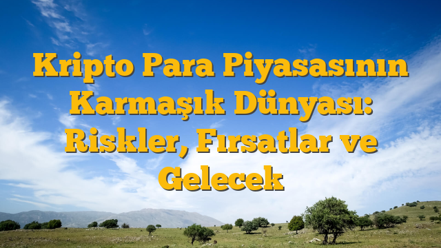 Kripto Para Piyasasının Karmaşık Dünyası: Riskler, Fırsatlar ve Gelecek