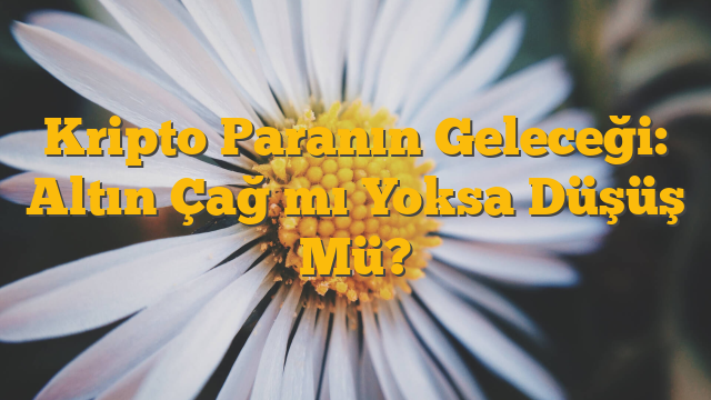 Kripto Paranın Geleceği: Altın Çağ mı Yoksa Düşüş Mü?