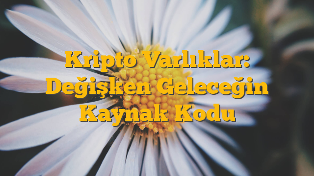 Kripto Varlıklar: Değişken Geleceğin Kaynak Kodu
