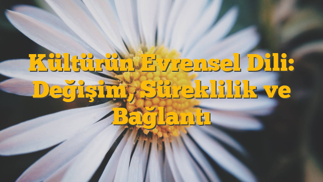 Kültürün Evrensel Dili: Değişim, Süreklilik ve Bağlantı