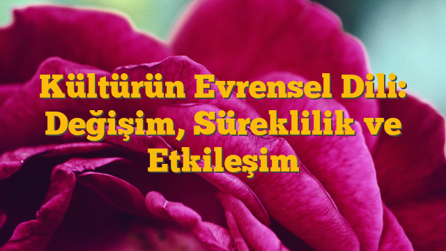 Kültürün Evrensel Dili: Değişim, Süreklilik ve Etkileşim