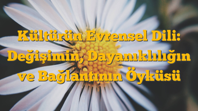 Kültürün Evrensel Dili: Değişimin, Dayanıklılığın ve Bağlantının Öyküsü