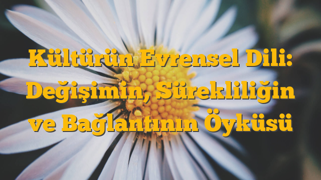 Kültürün Evrensel Dili: Değişimin, Sürekliliğin ve Bağlantının Öyküsü
