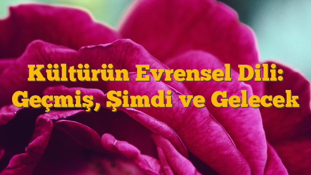 Kültürün Evrensel Dili: Geçmiş, Şimdi ve Gelecek