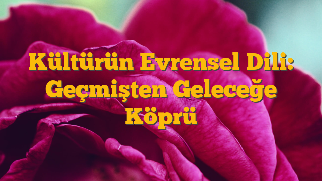 Kültürün Evrensel Dili: Geçmişten Geleceğe Köprü