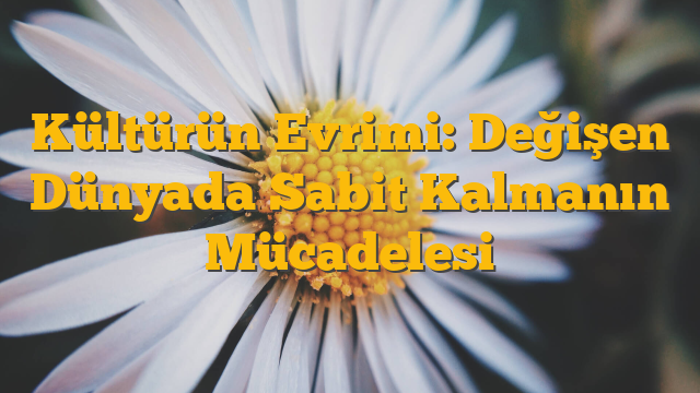Kültürün Evrimi: Değişen Dünyada Sabit Kalmanın Mücadelesi