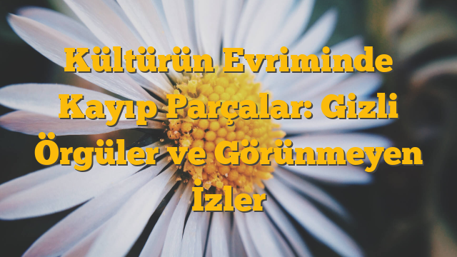 Kültürün Evriminde Kayıp Parçalar: Gizli Örgüler ve Görünmeyen İzler