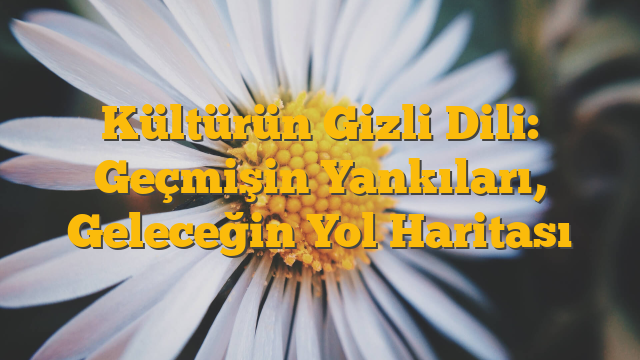 Kültürün Gizli Dili: Geçmişin Yankıları, Geleceğin Yol Haritası