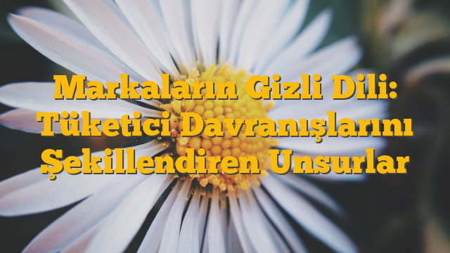Markaların Gizli Dili: Tüketici Davranışlarını Şekillendiren Unsurlar