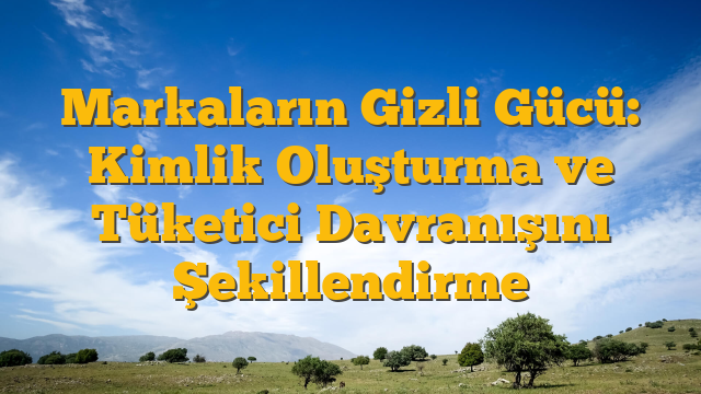 Markaların Gizli Gücü: Kimlik Oluşturma ve Tüketici Davranışını Şekillendirme