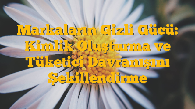 Markaların Gizli Gücü: Kimlik Oluşturma ve Tüketici Davranışını Şekillendirme
