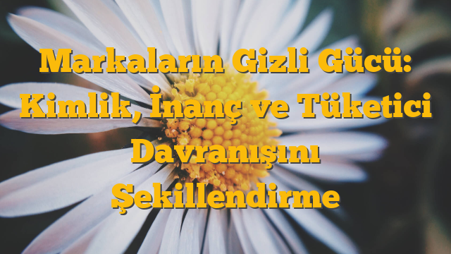 Markaların Gizli Gücü: Kimlik, İnanç ve Tüketici Davranışını Şekillendirme