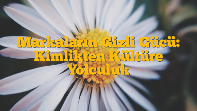 Markaların Gizli Gücü: Kimlikten Kültüre Yolculuk