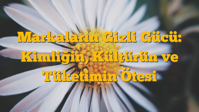 Markaların Gizli Gücü: Kimliğin, Kültürün ve Tüketimin Ötesi