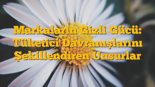 Markaların Gizli Gücü: Tüketici Davranışlarını Şekillendiren Unsurlar