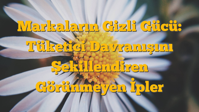 Markaların Gizli Gücü: Tüketici Davranışını Şekillendiren Görünmeyen İpler