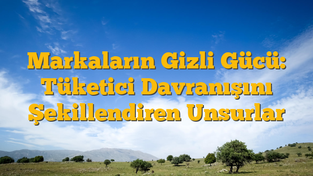 Markaların Gizli Gücü: Tüketici Davranışını Şekillendiren Unsurlar