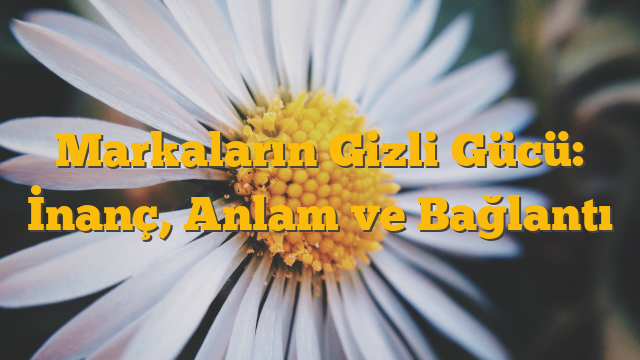Markaların Gizli Gücü: İnanç, Anlam ve Bağlantı
