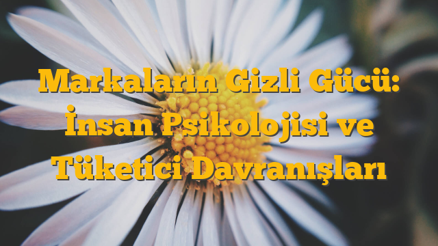 Markaların Gizli Gücü: İnsan Psikolojisi ve Tüketici Davranışları