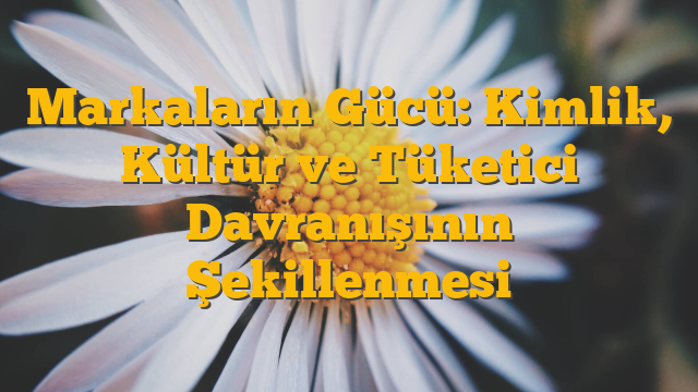 Markaların Gücü: Kimlik, Kültür ve Tüketici Davranışının Şekillenmesi