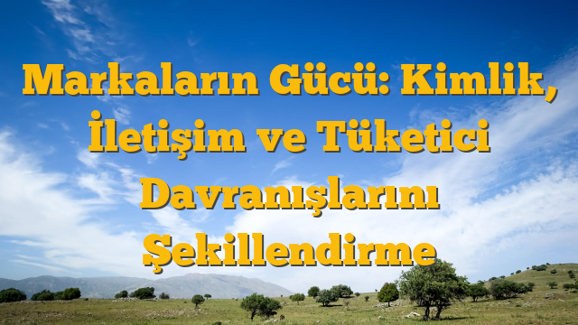 Markaların Gücü: Kimlik, İletişim ve Tüketici Davranışlarını Şekillendirme