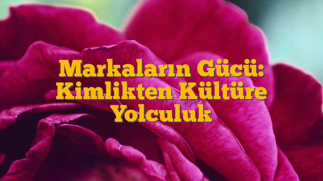 Markaların Gücü: Kimlikten Kültüre Yolculuk