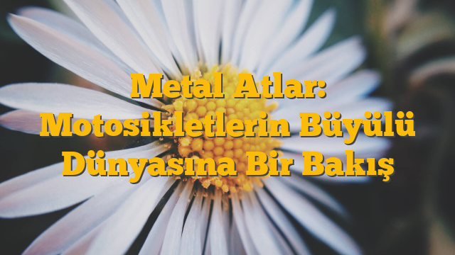 Metal Atlar: Motosikletlerin Büyülü Dünyasına Bir Bakış