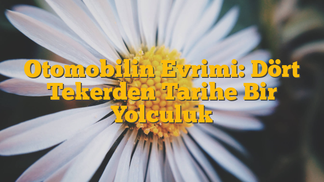 Otomobilin Evrimi: Dört Tekerden Tarihe Bir Yolculuk