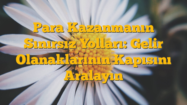 Para Kazanmanın Sınırsız Yolları: Gelir Olanaklarının Kapısını Aralayın