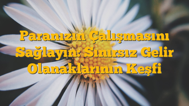 Paranızın Çalışmasını Sağlayın: Sınırsız Gelir Olanaklarının Keşfi