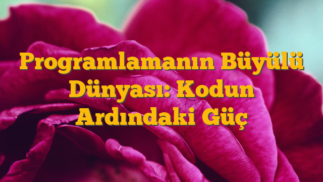 Programlamanın Büyülü Dünyası: Kodun Ardındaki Güç