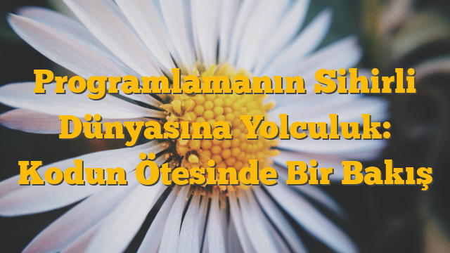 Programlamanın Sihirli Dünyasına Yolculuk: Kodun Ötesinde Bir Bakış