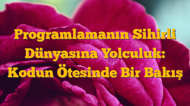 Programlamanın Sihirli Dünyasına Yolculuk: Kodun Ötesinde Bir Bakış