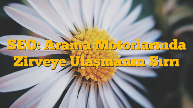 SEO: Arama Motorlarında Zirveye Ulaşmanın Sırrı