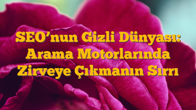 SEO’nun Gizli Dünyası: Arama Motorlarında Zirveye Çıkmanın Sırrı