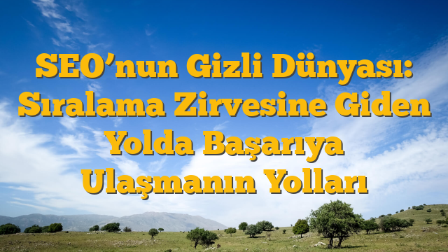 SEO’nun Gizli Dünyası: Sıralama Zirvesine Giden Yolda Başarıya Ulaşmanın Yolları