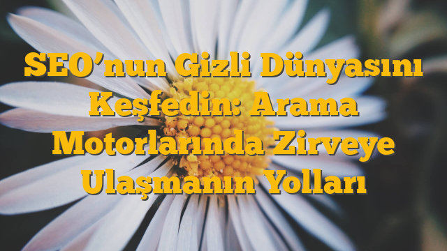 SEO’nun Gizli Dünyasını Keşfedin: Arama Motorlarında Zirveye Ulaşmanın Yolları