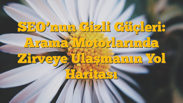 SEO’nun Gizli Güçleri: Arama Motorlarında Zirveye Ulaşmanın Yol Haritası
