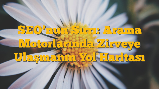 SEO’nun Sırrı: Arama Motorlarında Zirveye Ulaşmanın Yol Haritası