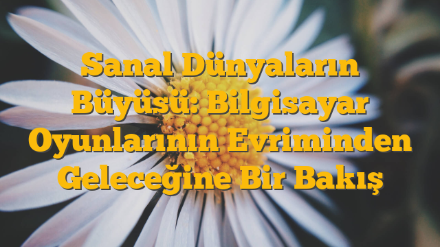Sanal Dünyaların Büyüsü: Bilgisayar Oyunlarının Evriminden Geleceğine Bir Bakış