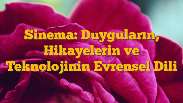 Sinema: Duyguların, Hikayelerin ve Teknolojinin Evrensel Dili