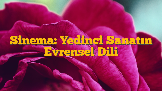 Sinema: Yedinci Sanatın Evrensel Dili
