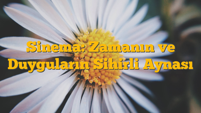 Sinema: Zamanın ve Duyguların Sihirli Aynası