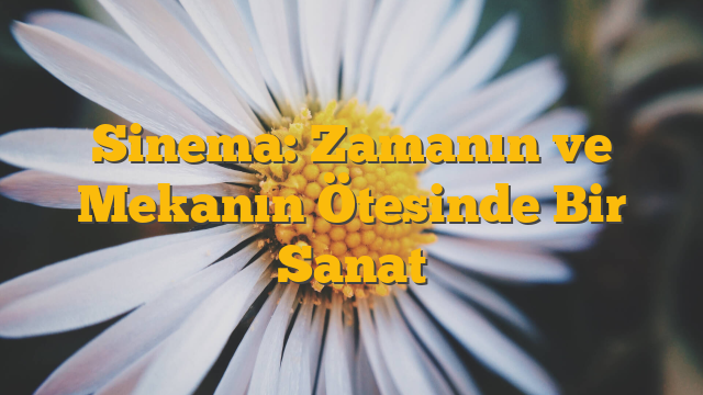 Sinema: Zamanın ve Mekanın Ötesinde Bir Sanat