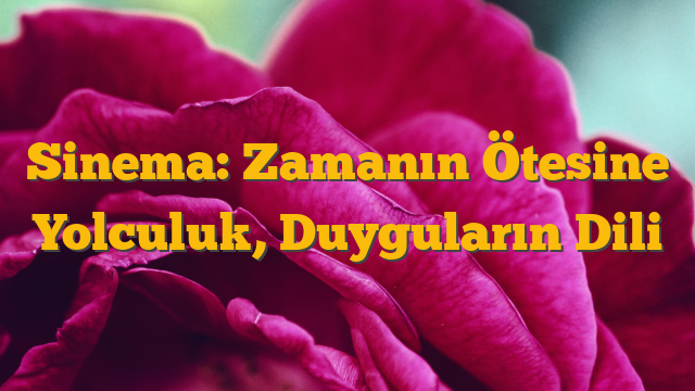 Sinema: Zamanın Ötesine Yolculuk, Duyguların Dili